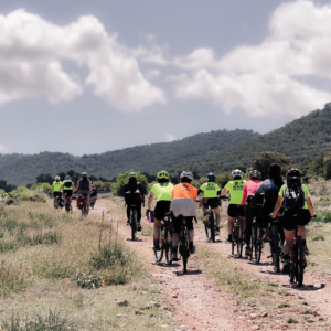 Spring Meeting: finde y completo