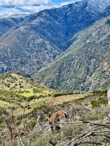 Jarandilla de la Vera