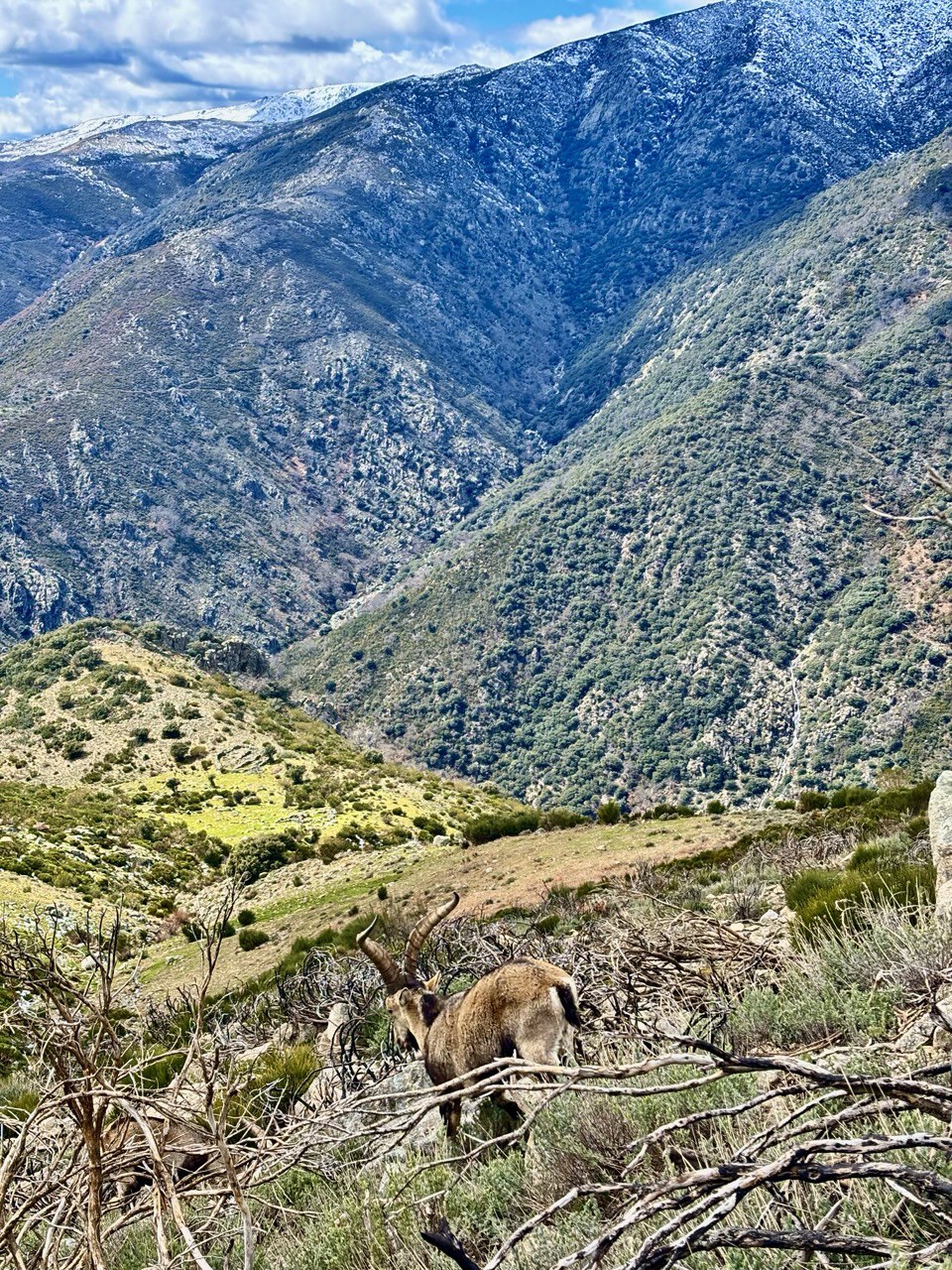 Jarandilla de la Vera