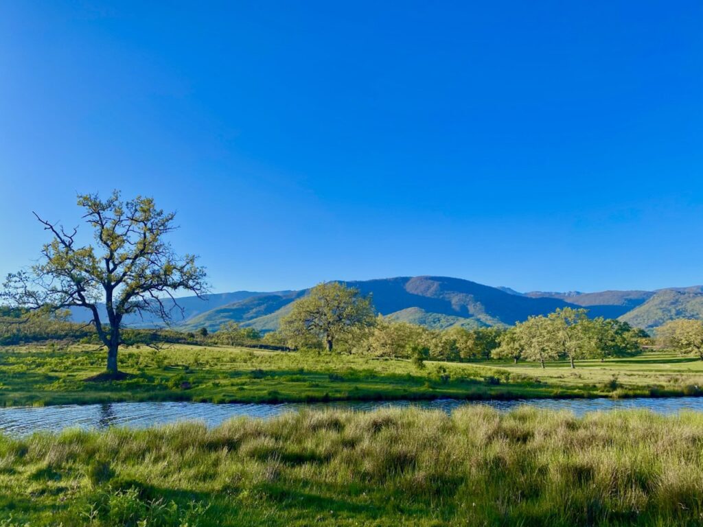 Jarandilla de la Vera