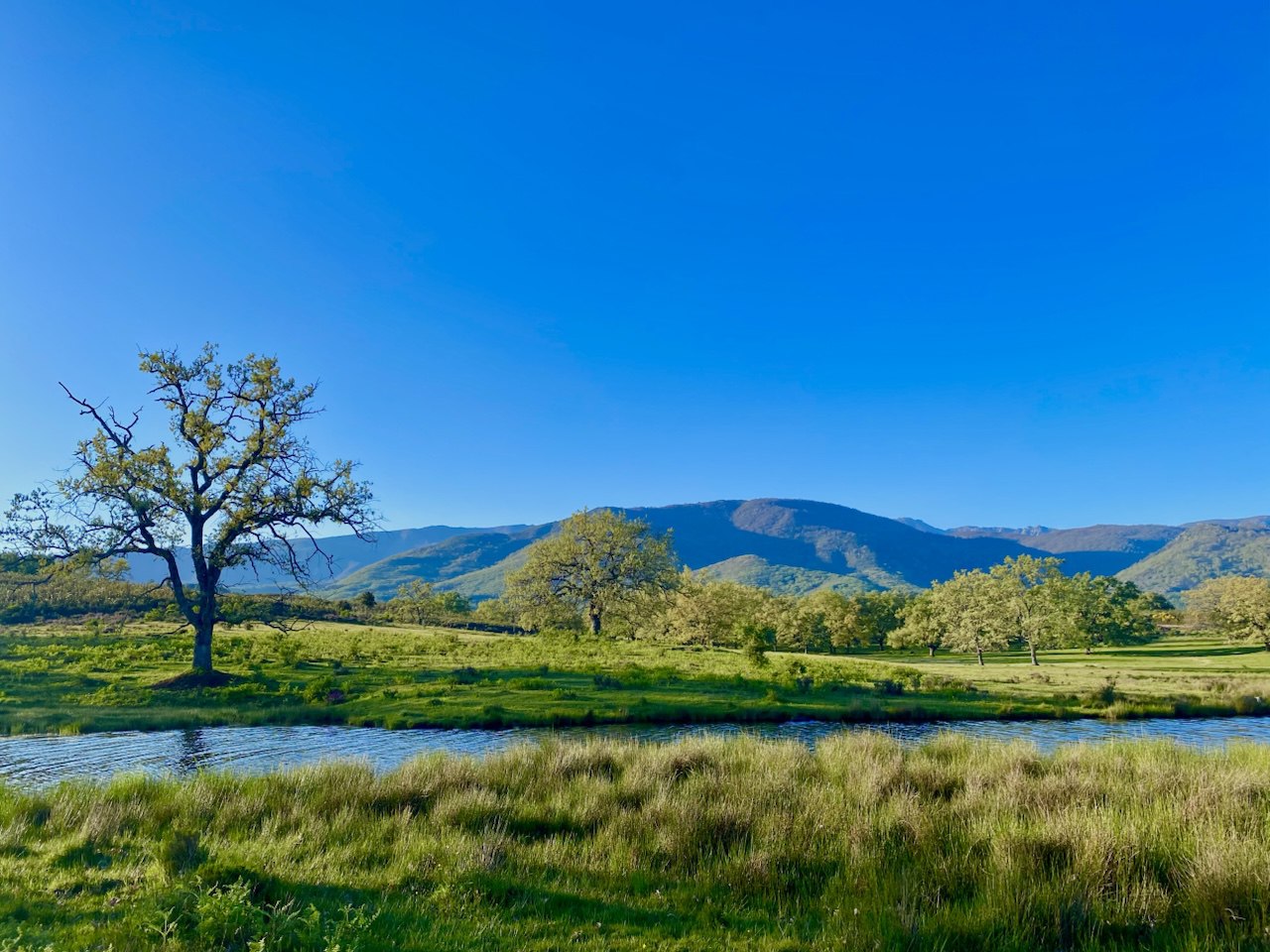 Jarandilla de la Vera
